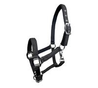 Licol pour cheval York Aston Noir Cob