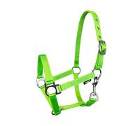 Licol pour cheval York Vert XFull