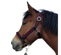 Licol pour chevaux à sang froid | Licol xxfull | Licol réglable 2 compartiments sur la mentonnière et la têtière (noir/bordeaux, XXFull (sang froid))