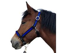 Licol pour chevaux à sang froid | Licol xxfull, Licol réglable sur 2 positions au niveau de la mentonnière et de la têtière (noir/bleu roi, XXFull (sang froid)