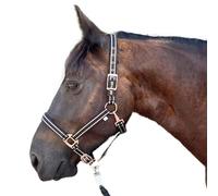 Licol pour chevaux avec paillettes en or rose, licol cheval noir et rose, 2 positions de réglage (noir, or rose, pur-sang (Cob))