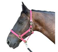 Licol pour chevaux avec paillettes en rose doré, licol pour cheval en noir et rose, réglable en 2 positions (Rose doré, Warmblut (Full))