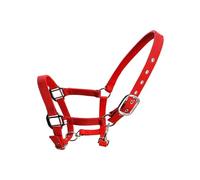 Licol Pour Chevaux Padded Halter Pony Head Collar Protective Gear Professional Black