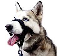 Licol pour Chien,Le Collier Anti-Traction de Dressage pour Chiens,Outil de Dressage pour Chien,Harnais Professionnel pour Chien,Muselière pour Chien,Le Dressage du Chien,5 Tailles (XXL)