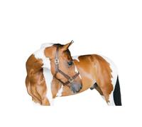 Licol Pour Cob En Cuir Kentucky Wellington