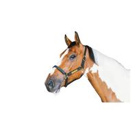 Licol pour cob en cuir Kentucky Wellington Noir Cob