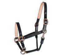 Licol pour cob en cuir rosé Waldhausen X-Line Noir Cob