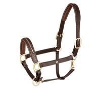 Licol pour cob en cuir Waldhausen Crystal Marron Cob