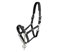 Waldhausen Licol Pro Safety avec chaîne intégrée à la muserolle Pur-sang / Cob