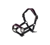 Licol pour hobby horse en cuir HKM Kids Manchester Noir TU