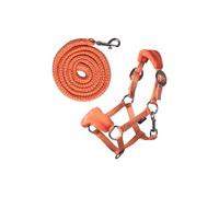 Licol pour hobby Horse HKM Kids Orange TU