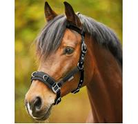 Licol pour longe Waldhausen Economic - Noir - Full