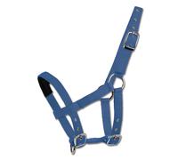 Licol pour mini-shetty Waldhausen Bleu TU
