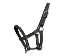 Licol pour mini-shetty Waldhausen Noir TU