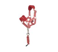 Licol pour peluche et longe équitation LeMieux Toy Pony Rose TU
