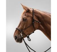 Licol pour poney à nœuds avec rênes Waldhausen Noir Poney