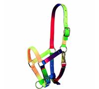 Licol pour poney Tattini Multicolore poney