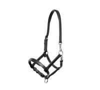 Licol pour poulain cuir Kavalkade Noir Foal I