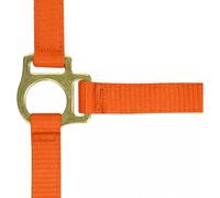 Licol pour poulain et longe Norton Orange Poulain