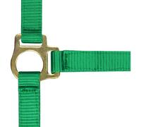 Licol pour poulain et longe Norton Vert Poulain