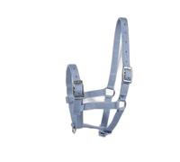 Licol pour poulain Horze Foal Bleu Foal