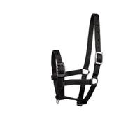 Licol pour poulain Horze Foal Noir Foal