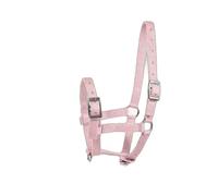 Licol pour poulain Horze Foal Rose Foal