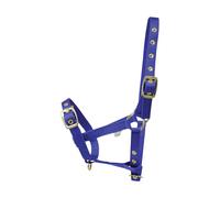 Licol pour poulain Hy BZ275 (taille unique) (Bleu)