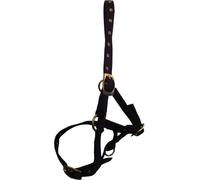 Licol pour poulain Hy BZ275 (taille unique) (Noir)