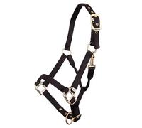 Licol pour poulain nylon reglable/laiton BR Equitation Noir Poulain