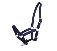 Licol pour poulain Q-essentials Bleu Poney