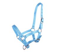 Licol pour poulain Q-essentials Bleu Shetland
