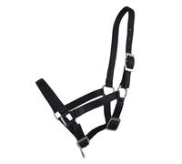 Licol pour poulain Q-essentials Noir Full