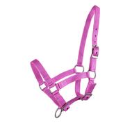 Licol pour poulain Q-essentials Rose Full