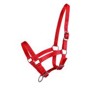 Licol pour poulain Q-essentials Rouge Falabella