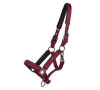 Licol pour poulain QHP Deluxe Rouge Full