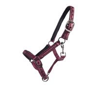 Licol pour poulain QHP Lily Rouge Poney