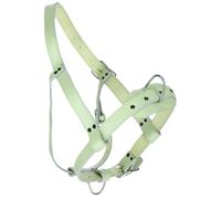 Licol pour taureaux cuir Kerbl Vert TU