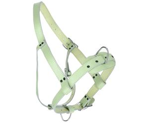 Licol pour taureaux cuir Kerbl Vert TU