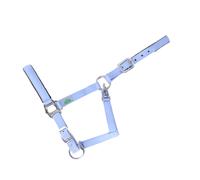 Licol rembourré pour cheval USG Everyday Bleu Full