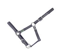 Licol rembourré pour cheval USG Everyday Bleu Poney