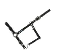 Licol rembourré pour cheval USG Everyday Noir Poney