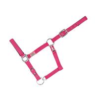 Licol rembourré pour cheval USG Everyday Rose XFull