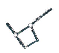 Licol rembourré pour cheval USG Everyday Vert Poney