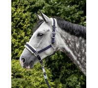 Licol uni avec doublure en fausse fourrure