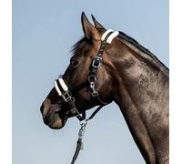 Licol uni avec doublure en fausse fourrure