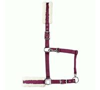 Licol uni avec doublure en fausse fourrure