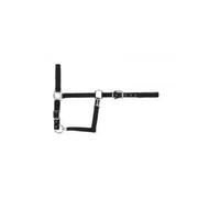 Licol usg avec boucle