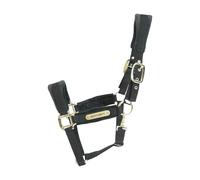 Licol velvet Kentucky Noir Cob