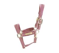 Licol FULL - Vieux rose - Velours